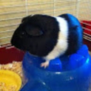 Meet your Posher, Mirja